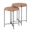 D - Hoyz - Bijzettafel Set van 2 - Ø42cm - Rond - Hout